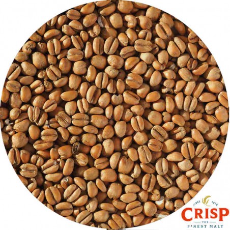 Torrefied Wheat - Crisp Maltings